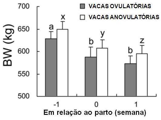 PC PESO CORPORAL Fig. 9) Peso corporal (PC) das vacas ovulatórias e anovulatórias em uma semana pré-parto, no dia do parto e em uma semana pós-parto.