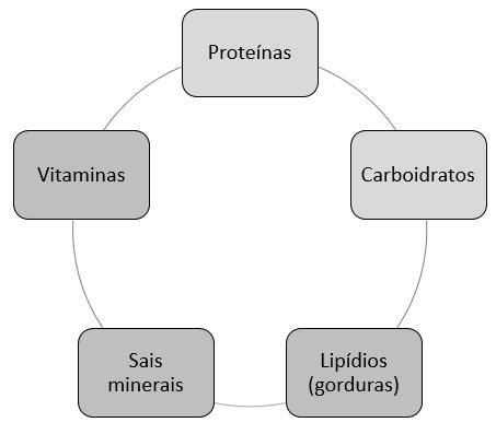 Gabarito Comentado 1. Os alimentos constituem-se como a principal fonte de energia para o corpo humano. 2. Os alimentos são formados de substâncias denominadas de nutrientes. Cada 3. 4.