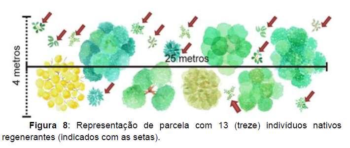 CONSIDERAÇÕES FINAIS SOBRE O MONITORAMENTO Como amostrar?