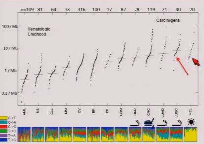Análise do sequenciamento exome e de RNA em ca epidermóide de pulmão 178 amostras # total de mutações