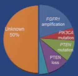 Avançado -2012 Mutação EGFR Carcinoma