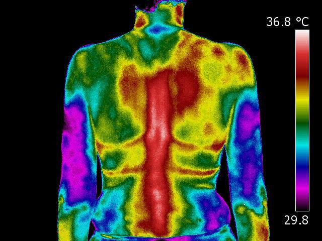 Em todos os casos, os resultados apresentam-se e devem ser interpretados pelo inspetor termografista na forma de gradientes térmicos.