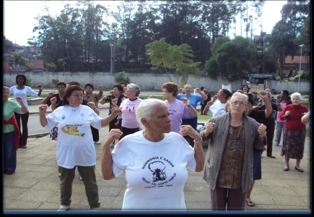 Implementando a Atenção à Saúde do Idoso Grupo de Liang gong Parque Santa