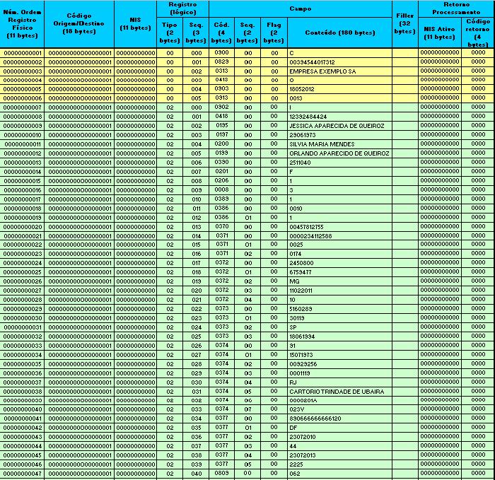 4. Retorno do Processamento Campo utilizado para informar o resultado do processamento no