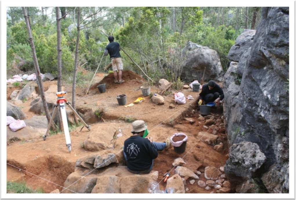 Trabalhos Arqueológicos Projetos Investigação -Habitats de