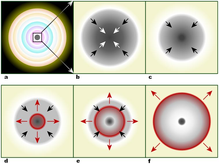 (c) O caroço interno é convertido em nêutrons e a energia gravitacional dissipada em neutrinos.