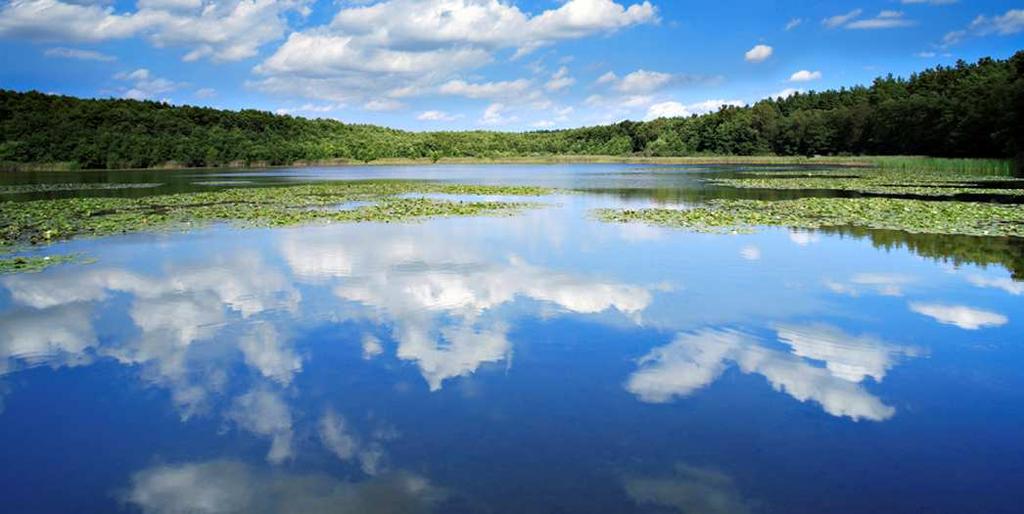 Qualidade ambiental Expressão das condições e dos requisitos básicos que um ecossistema detém, de natureza física, química, biológica, social, econômica, tecnológica e