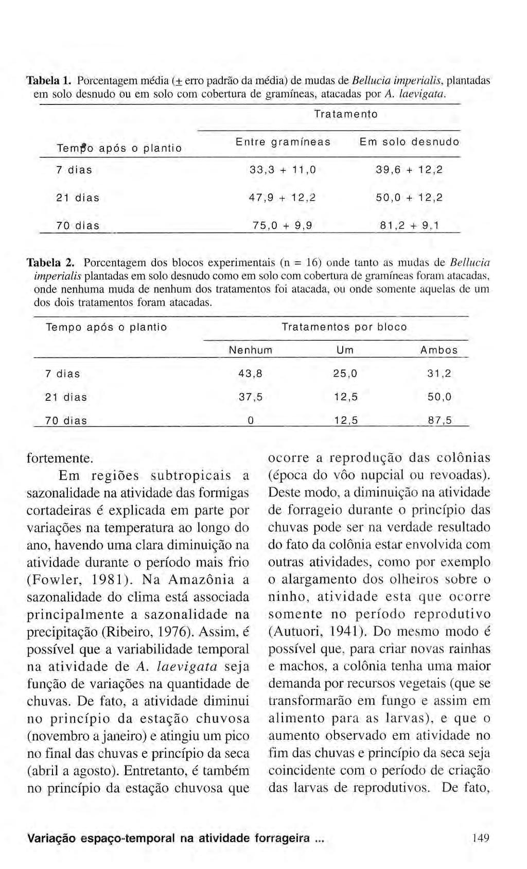 Tabela 1. Porcentagem média (± erro padrão da média) de mudas de Belinda imperialism plantadas em solo desnudo ou em solo com cobertura de gramíneas, atacadas por A. laevigata.