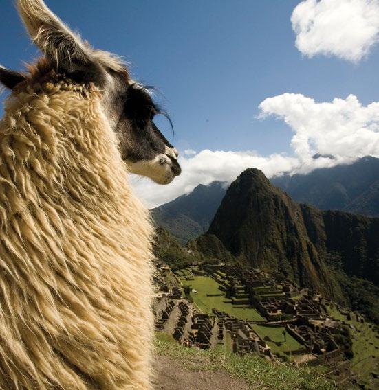 AMANHECER EM MACHU PICCHU Estamos em Machu Picchu; a energia que atrai nossos sentidos.