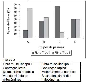 em músculos estriados esqueléticos de quatro grupos de pessoas: atletas maratonistas(*), atletas velocistas(**), pessoas sedentárias, e pessoas com atividade física moderada.