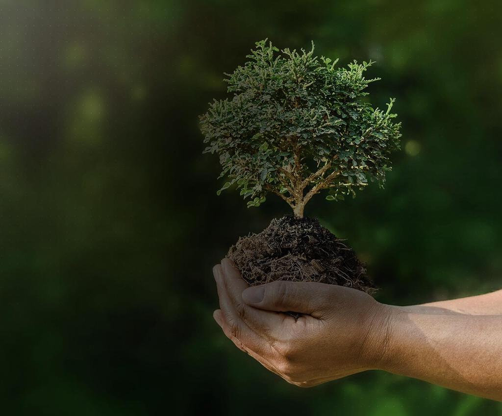 Responsabilidade Ambiental 97,5% de reúso de água nas usinas da Gerdau 78% de reaproveitamento dos coprodutos R$ 270 milhões em receita pela venda