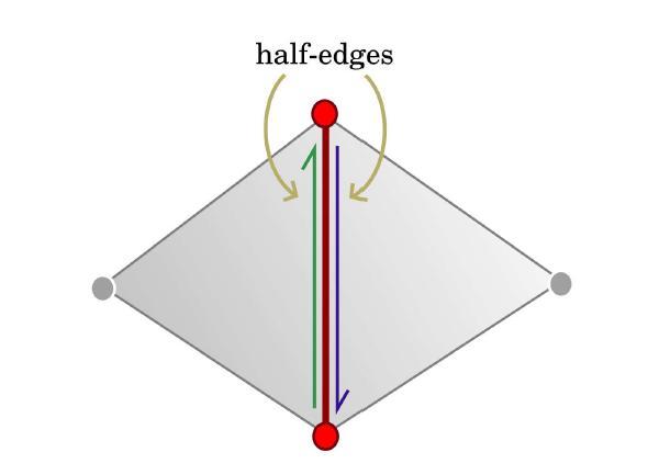 Half-Edge Definição de Half-Edge Uma half-edge é uma aresta dotada de uma orientação