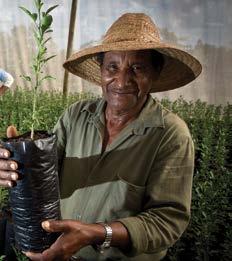 MINISTÉRIO DO DESENVOLVIMENTO SOCIAL E AGRÁRIO pactos na saúde pública, com redução de desnutrição e também de obesidade.