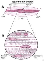 Referências Bibliográficas: 1. Harrison AL, Thorp JN, Ritzline PD. A Proposed Diagnostic Classification of Patients With Temporomandibular Disorders: Implications for Physical Therapists.