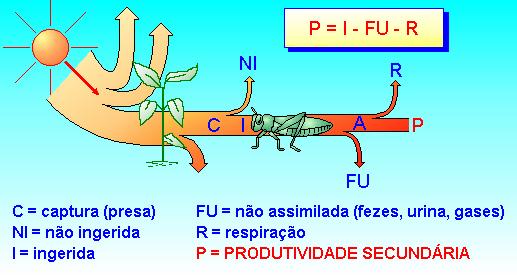 Produção e produtividade.