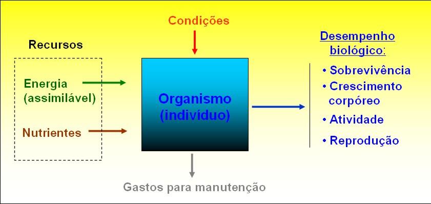 Produção e produtividade. Fatores que afetam a produtividade primária ria: 4) Estresse ou tensão Condição desfavorável vel que causa aumento no gasto energético para manutenção.