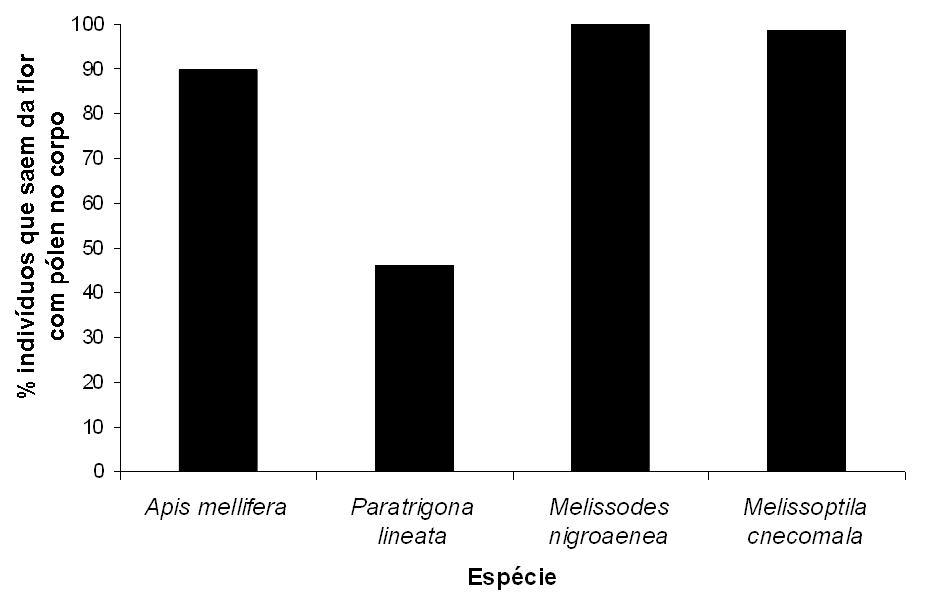 Tabela 3. Total de frutos e sementes, porcentagem de sementes desenvolvidas, média e desviopadrão de sementes desenvolvidas por fruto de Gossypium hirsiutum var. latifolium cv.