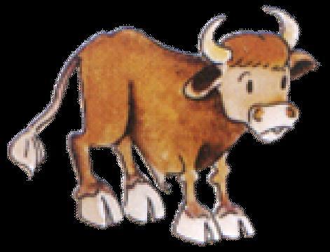 Conceito de Pecuária : A palavra pecuária vem do latim pecus, que significa cabeça de gado.
