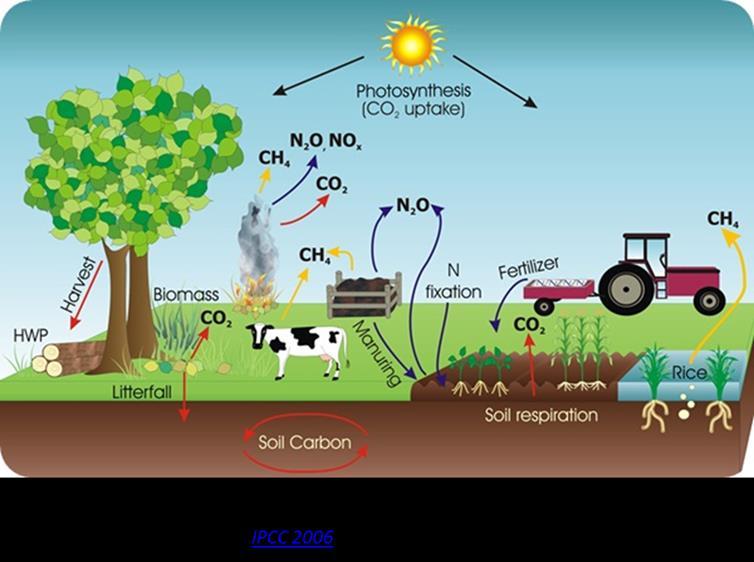 AGROPECUÁRIA >>Atividades agrícolas e Fontes de emissão AGROPECUÁRIA Queima de resíduos agrícolas 1,2% Fermentação entérica 56% Gases precursores Nox CO NMVOC