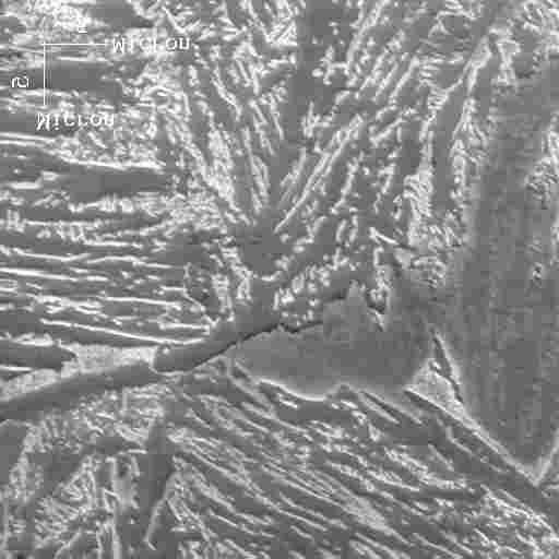 9 Micrografia obtida em MEV da amostra