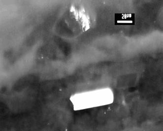 23 - Micrografias obtidas a partir de réplica em filme de C de amostra 1250-00-01 em campo escuro (a) e campo claro (b) com aumento de 120K.