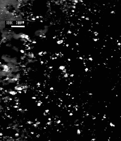 27 - Micrografias em campo escuro de réplica em filme de