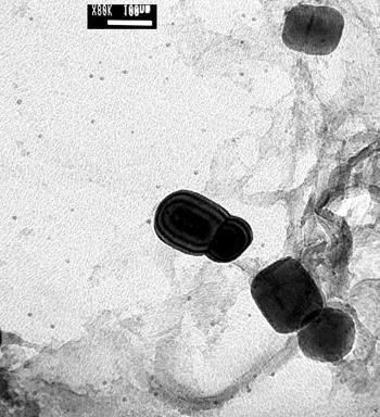 30 - Micrografia de réplica em filme de carbono mostrando a presença de