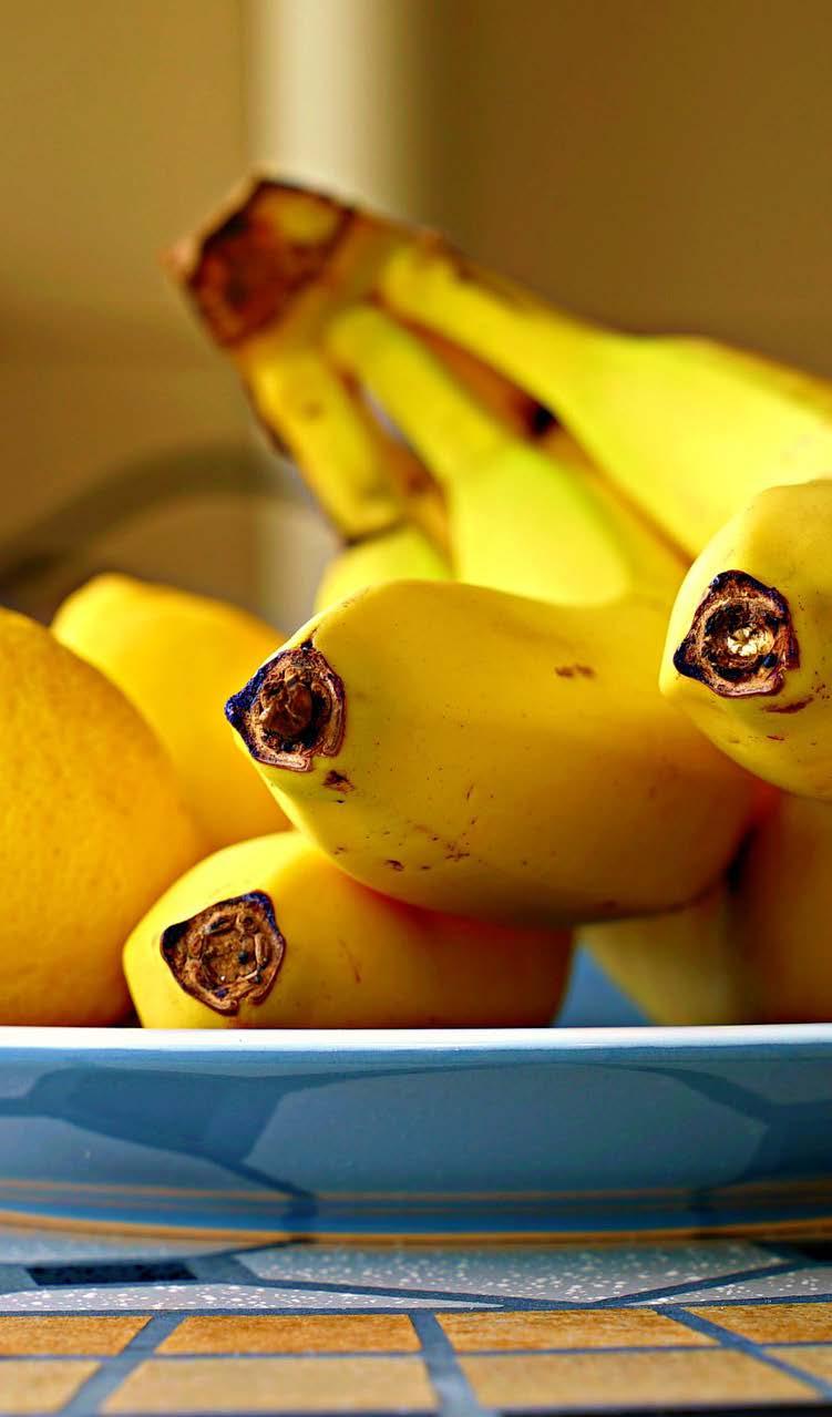 ingredientes Panquequinha de Banana - 1 banana nanica madura - 4 colheres de aveia em ocos nos ou farinha de trigo integral - 1 ovo - canela em pó - 1 colher de café de fermento - óleo para untar