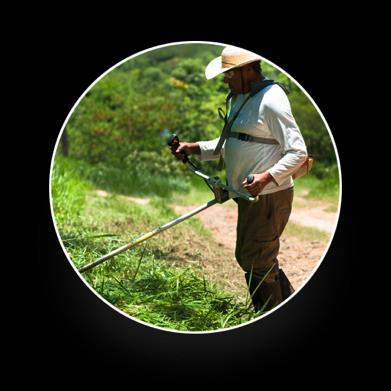 Compensação obrigatória via TCRA: Parceria inédita com a Companhia Ambiental do Estado de São Paulo (CETESB) para a compensação por danos ambientais