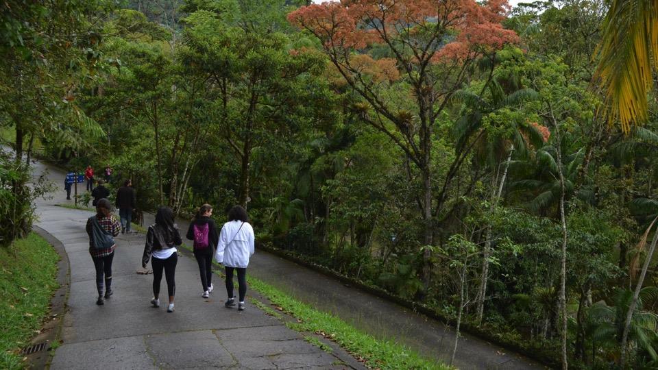 Causa Valorização dos Parques e Reservas Existem na Mata Atlântica mais de 2.300 Unidades de Conservação. O setor privado é responsável pela criação e manutenção de mais de 1.