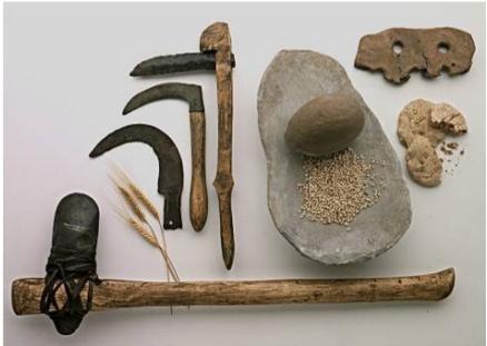 Período Neolítico Neolítico ou Idade da Pedra Polida O homem começou a se desenvolver ainda mais, uma vez que, era sedentário, agricultor, o homem começou a desenvolver ferramentas de metal.