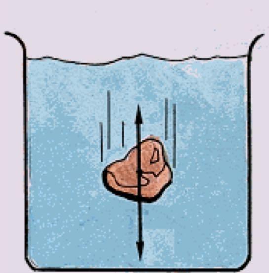 Se ele afundar: à A intensidade da força de empuxo é menor do que a intensidade da força peso (Empuxo < Peso).