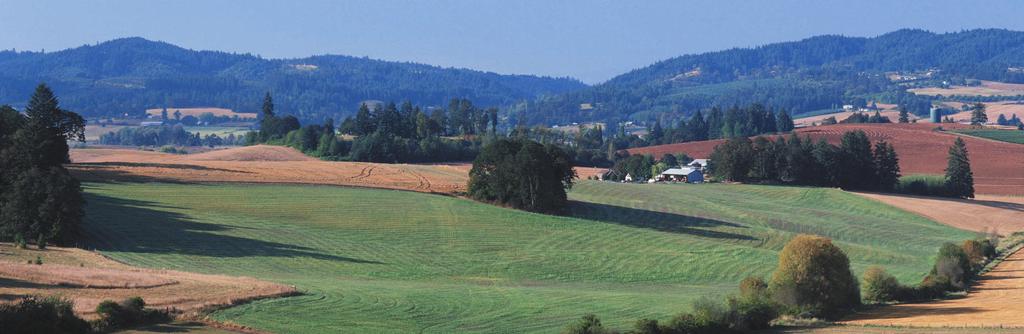 Indicadores da Campanha 2004/2005 Ajuda à Superfície de Culturas Arvenses Região Agrária Beneficiários Pagos (nº) Cereais Milho Regadio Suplemento Trigo Duro Entre Douro e Minho 41.