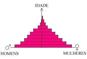 P á g i n a 4 Pirâmide Etária Pirâmide etária é um gráfico organizado para classificar a população de uma determinada localidade conforme as faixas de idade, dividindo-as por sexo.