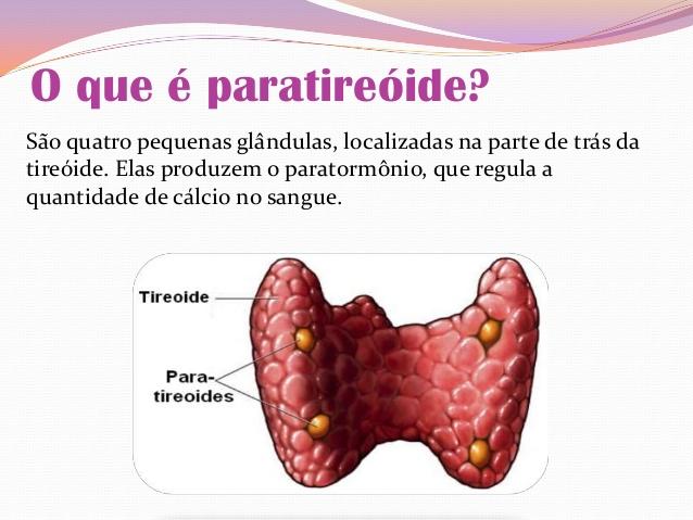 3. GLÂNDULAS PARATIREÓIDES: A diminuição desse hormônio reduz a