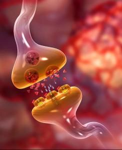 Sistema Endócrino O homem apresenta em seu organismo várias glândulas endócrinas (glândulas que secretam hormônios para dentro do