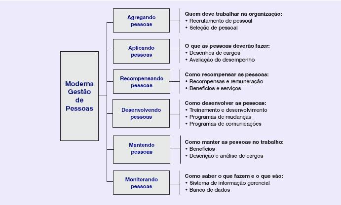 Organização funcional tradicional do