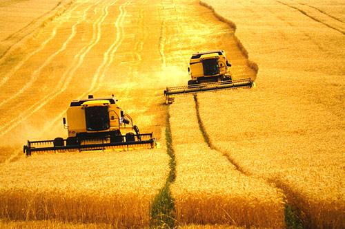 Empresa Agrícola Suas características são a alta capitalização, insumos modernos, produtividade elevada,