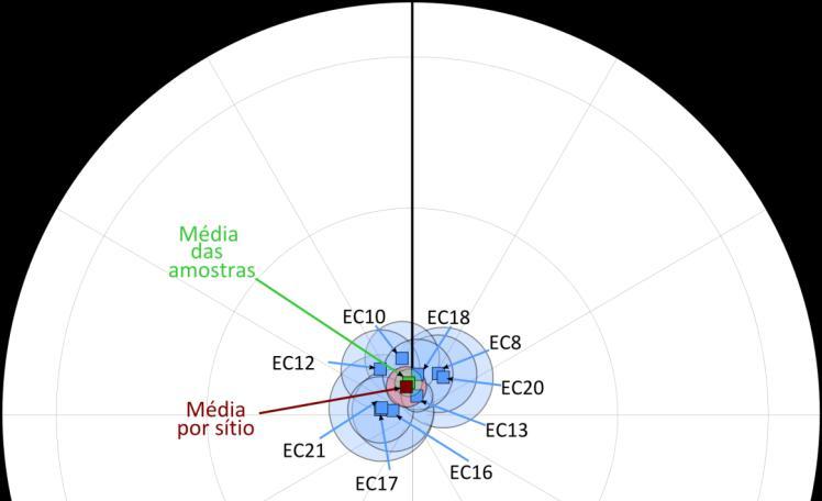 Na Figura 3 estão representadas as componentes médias por sítio, verifica-se que a dispersão dos pontos é bastante mais reduzida e que a inclinação está entre 60 e 70 e a declinação entre 355 e 5.