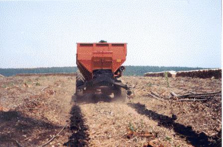 APLICAÇÃO DE BIOSSÓLIDO EM DUAS LINHAS DE PLANTIO Menor