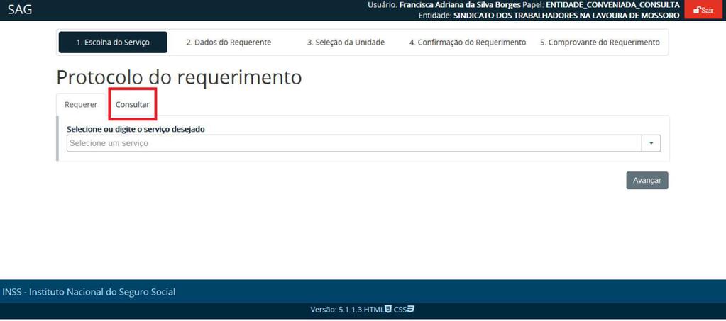 Consultando e acompanhando requerimentos 1º Passo Faça login no sistema e clique na aba Consultar da página inicial,