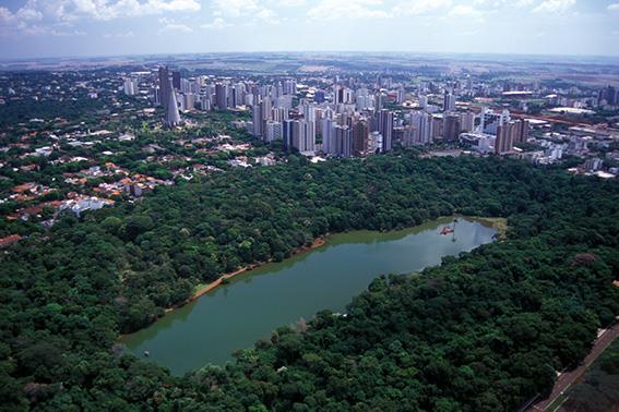 2.2.1 Arborização No que se refere à harmonia entre espaço urbano e áreas de natureza e vegetação, o urbanismo sustentável em uma cidade deve optar pelo planejamento de sua arborização para que seja