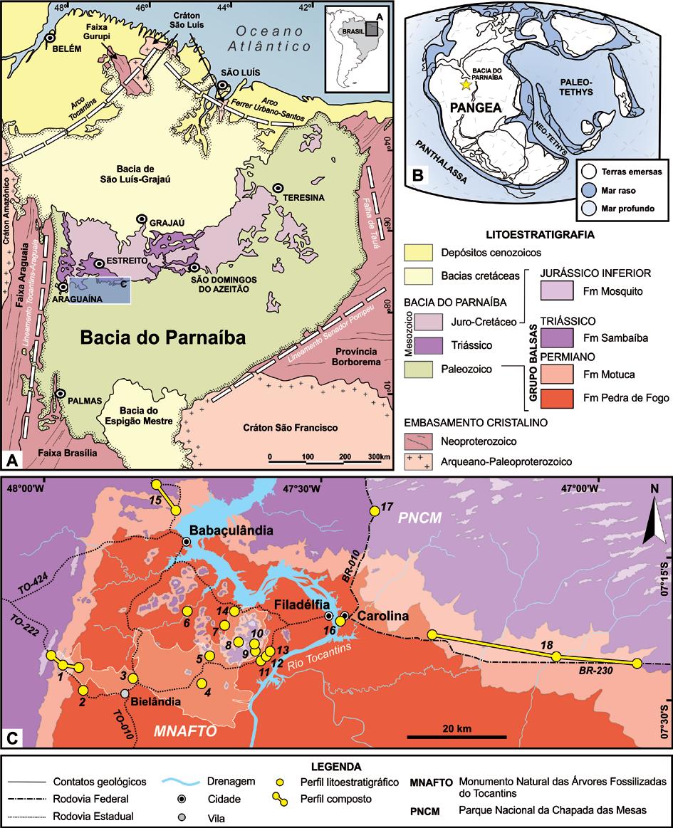 30 um sistema desértico representado por depósitos de campos de dunas eólicas com interdunas encharcadas, lençóis de areia com wadis e playa siliciclástica, além de margem de playa lake. Figura 4.