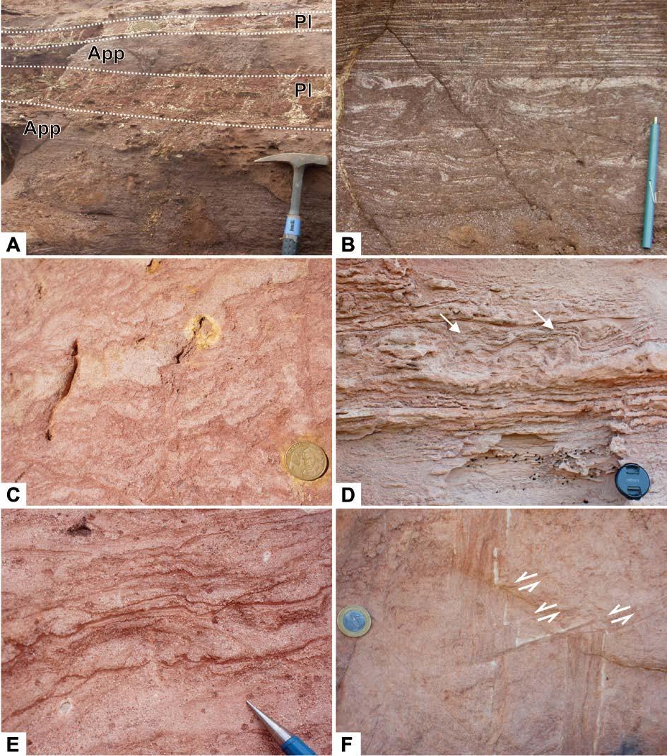 Figura 4.12 - Aspectos faciológicos da base da Formação Sambaíba (AF5). (A) Intercalação entre as fácies pelito laminado (Pl) e arenito com estratificação plano-paralela (App).