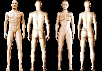 Essa posição é utilizada para descrever as partes do corpo umas em relação às outras, ela é universal e foi criada para estabelecer um padrão e favorecer a compreensão dos termos que indicam direção,