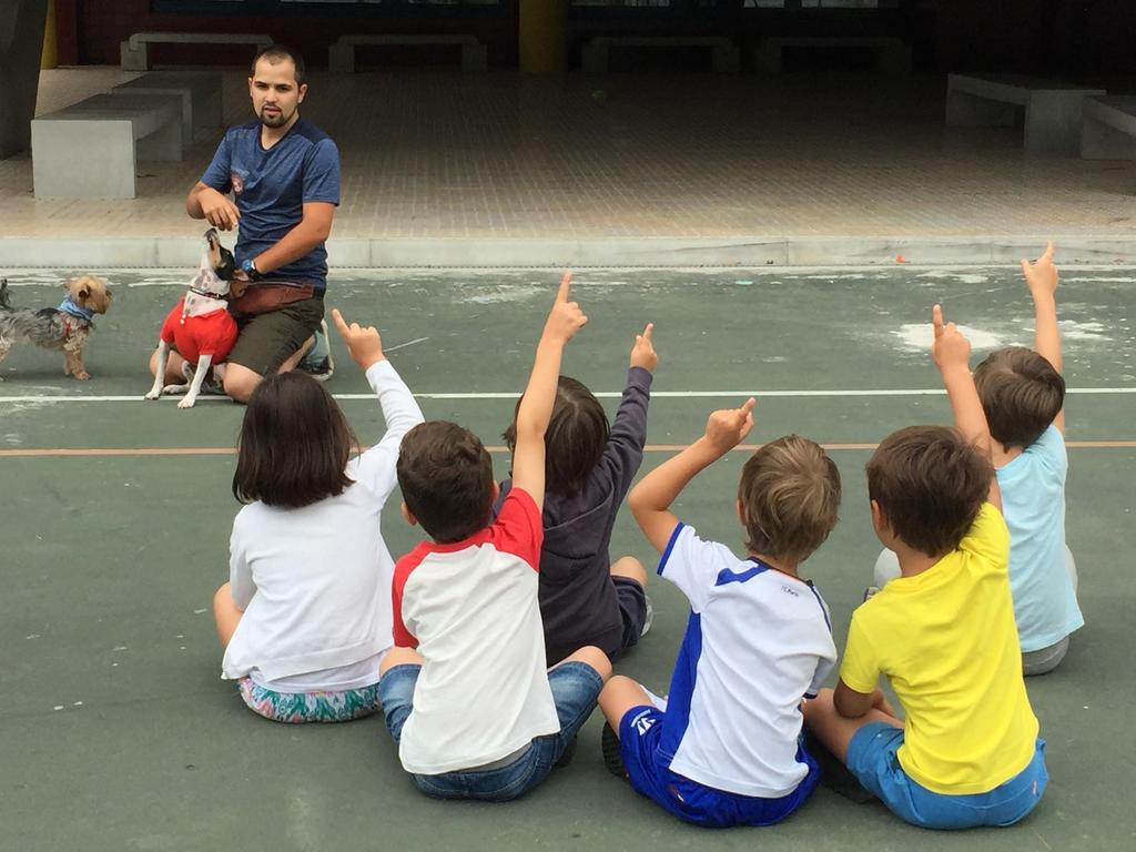 Baby Gym - Participantes: Bebés dos 1-2 anos; Crianças dos 3-5 anos. - Fomenta a interacção dos bebés e crianças com o mundo que as rodeia.