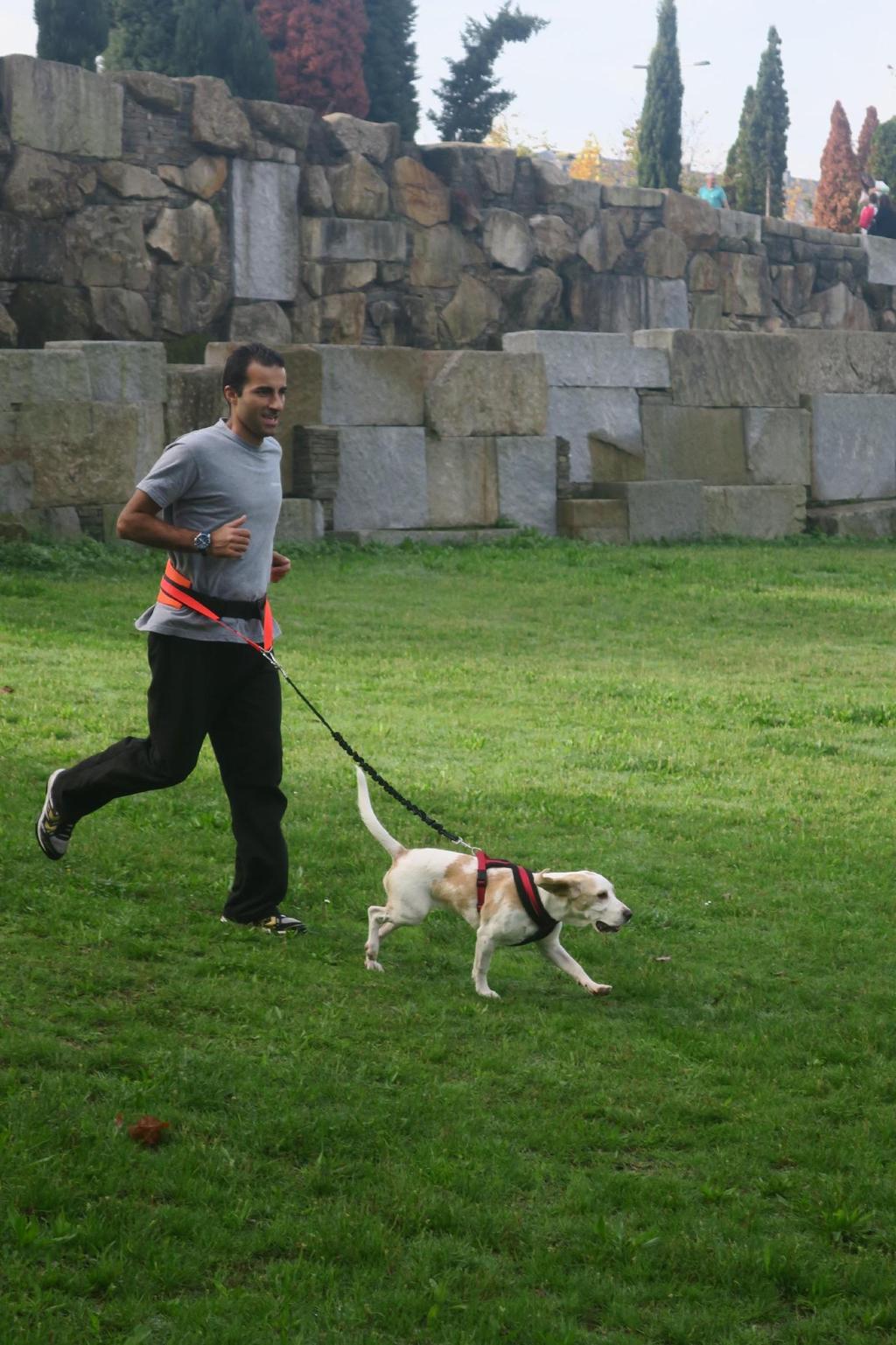 Canicross - Participantes: Jovens e adultos, de preferência acompanhados de cão.