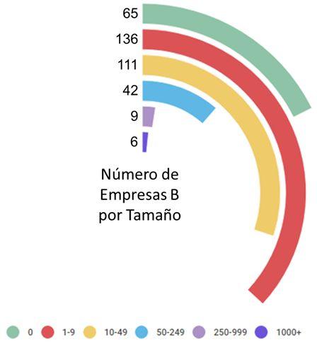 Empresas B: setor e tamanho na região Hoje temos 369 Empresas B certificadas.