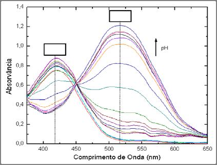 3. A dissociação iônica do indicador alisarina Red S pode ser estudada por espectrofotometria na região do vísivel. Variações de ph implicam em variações espectrais.