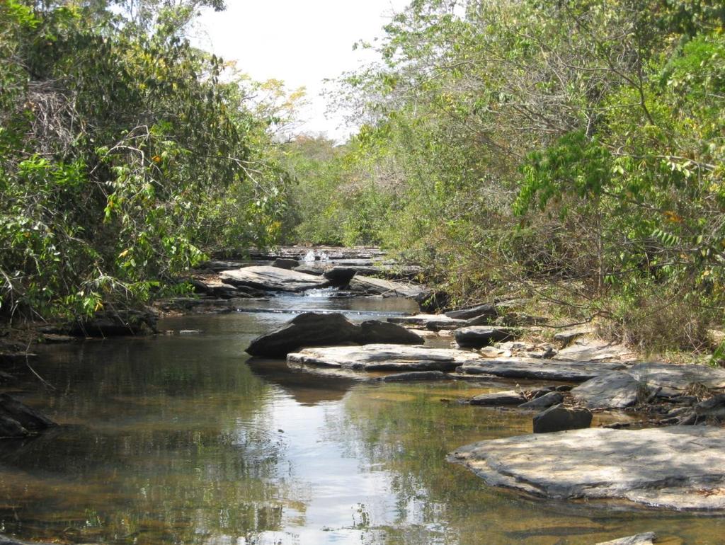comunidades com componentes de meso-habitat em riachos de cabeceira no cerrado Déborah Regina de Oliveira e